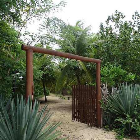 Jungle House Otel São Miguel do Gostoso Dış mekan fotoğraf