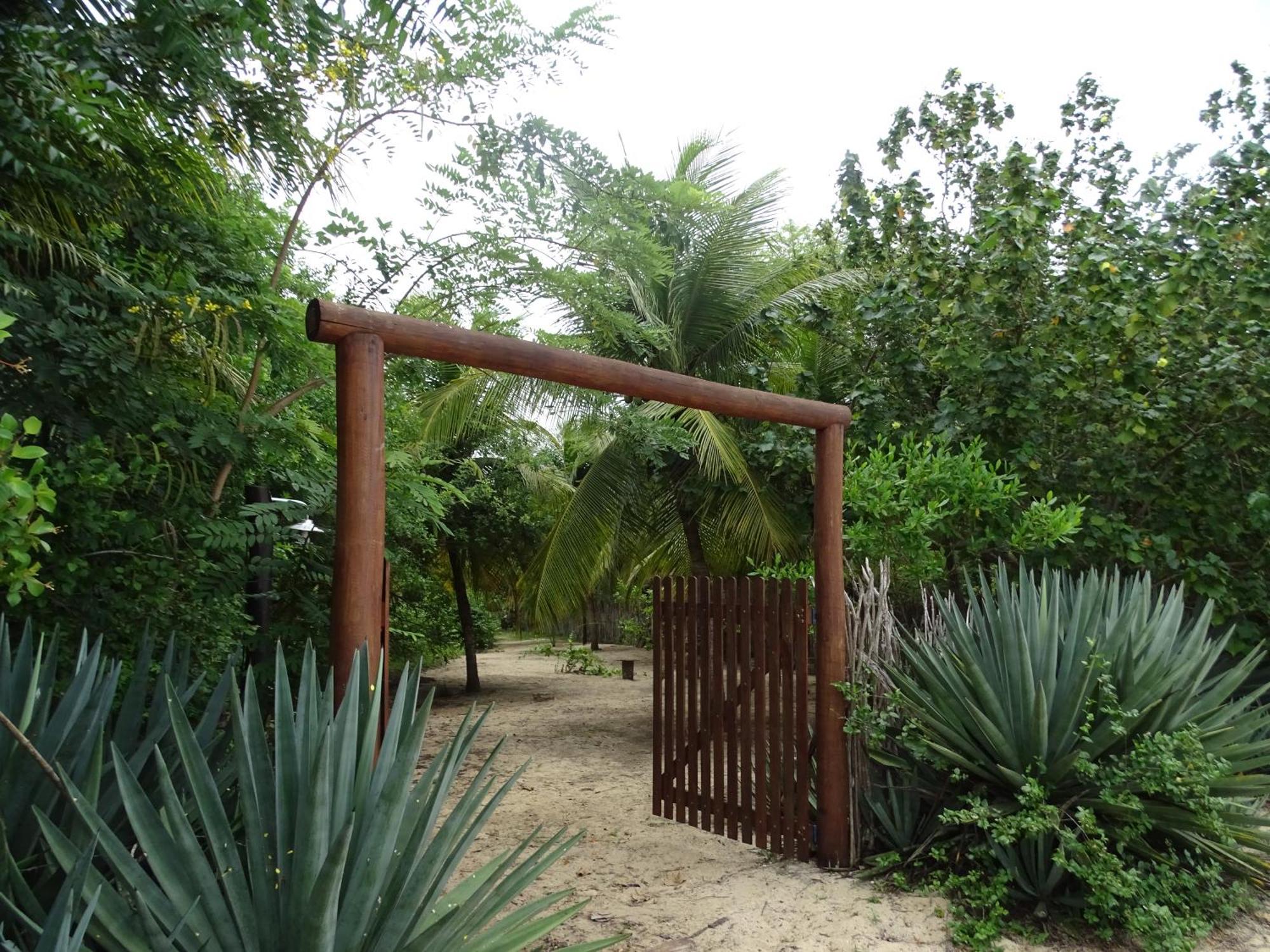 Jungle House Otel São Miguel do Gostoso Dış mekan fotoğraf