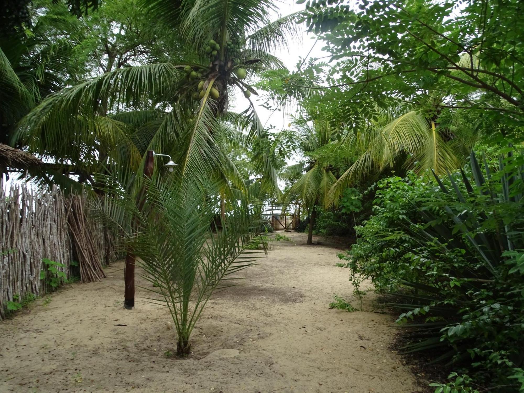 Jungle House Otel São Miguel do Gostoso Dış mekan fotoğraf