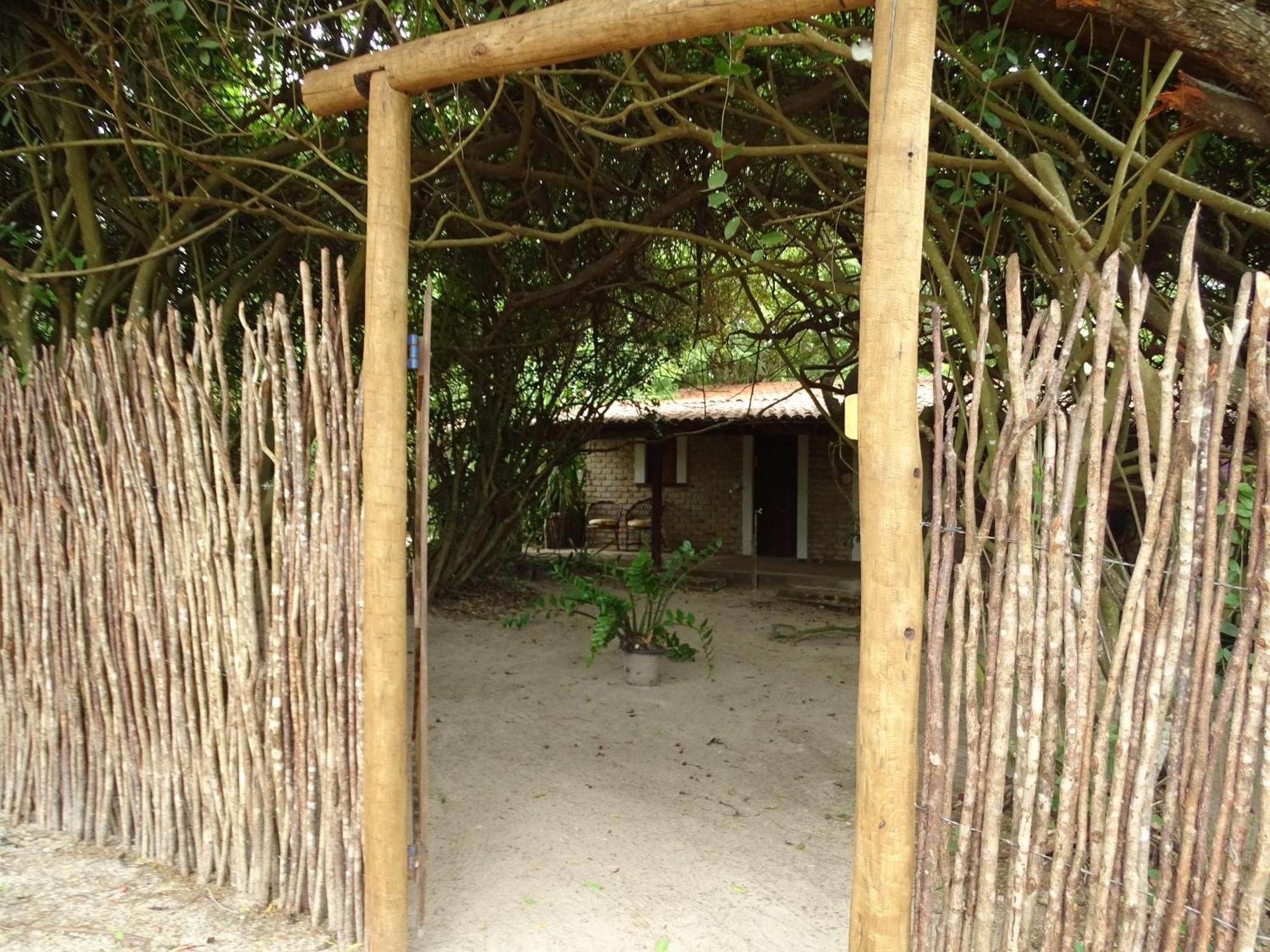 Jungle House Otel São Miguel do Gostoso Dış mekan fotoğraf