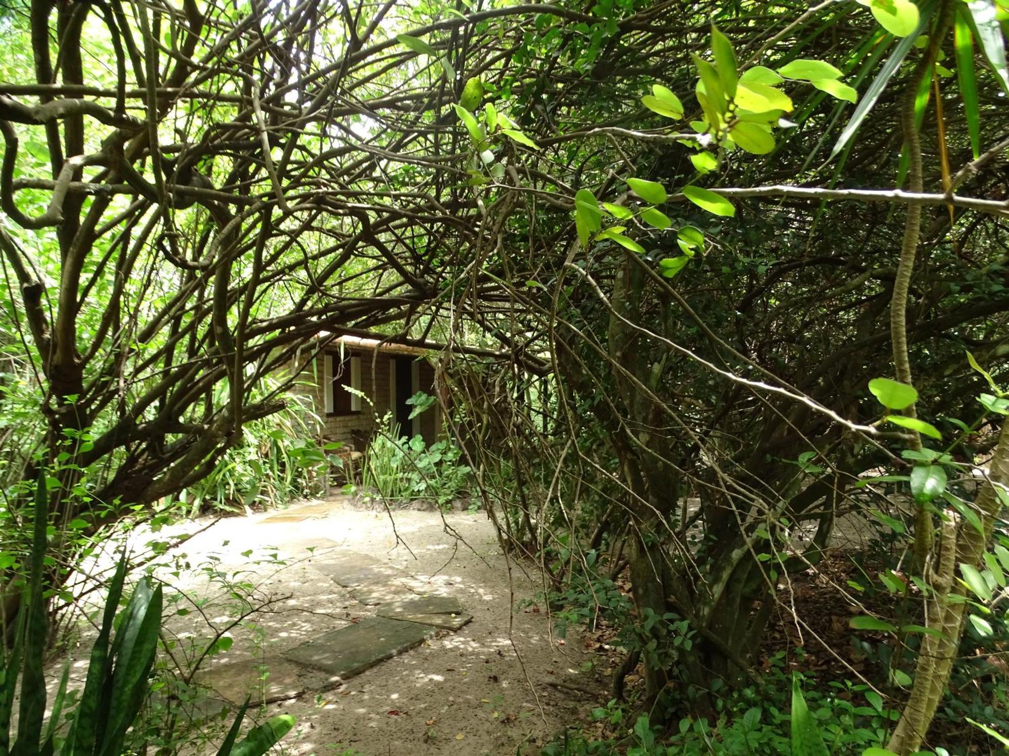 Jungle House Otel São Miguel do Gostoso Dış mekan fotoğraf