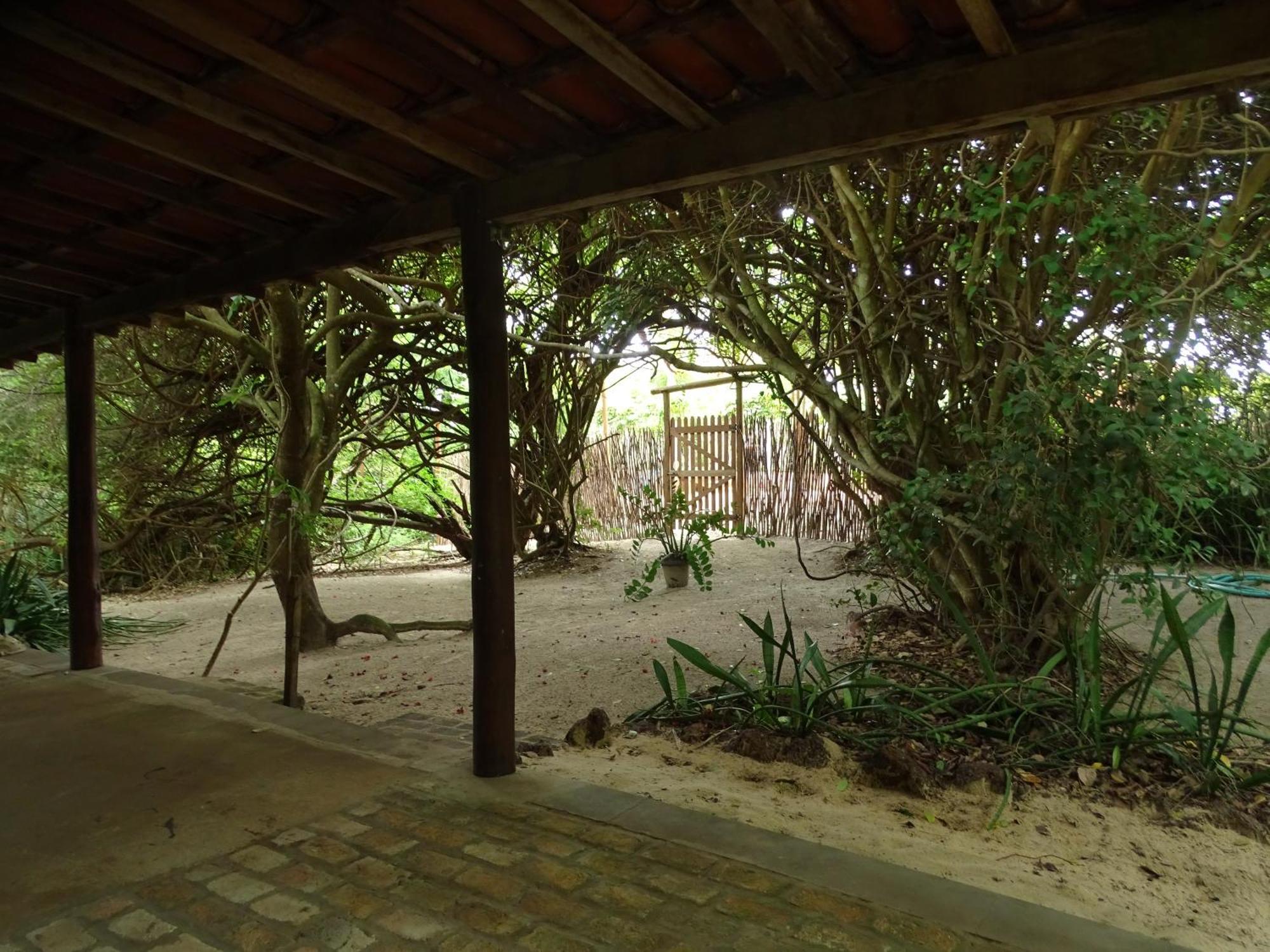 Jungle House Otel São Miguel do Gostoso Dış mekan fotoğraf